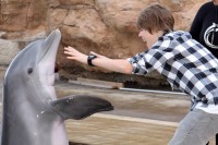 /album/galeria-de-fotos/redimensiona-imagemcasmkg48-jpg/