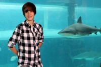 /album/galeria-de-fotos/redimensiona-imagemca07da01-jpg/